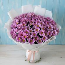 Букет цветов из:  Хризантемы в Комсомольском Республики Калмыкия