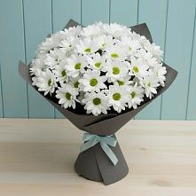 Букет цветов из:  Хризантемы в Комсомольском Республики Калмыкия