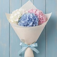 Букет цветов из:  Гортензия в Комсомольском Республики Калмыкия