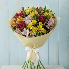 Букет цветов из:  Альстромерии в Комсомольском Республики Калмыкия