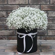 Цветочная композиция из Гипсофила в шляпной коробке в Комсомольском Республики Калмыкия