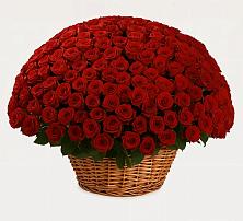 Премиум букет из: Розы в Комсомольском Республики Калмыкия