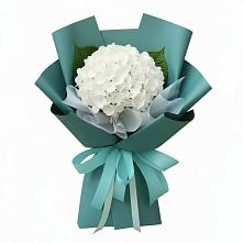 Букет цветов из:  Гортензия в Комсомольском Республики Калмыкия